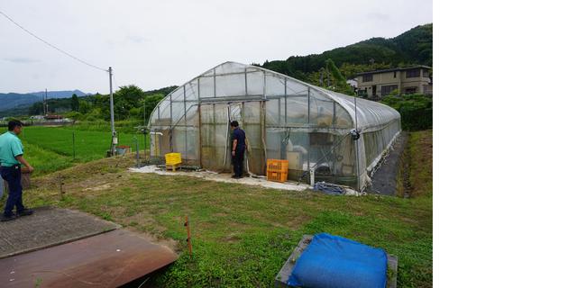 002-amatou-0641.JPG