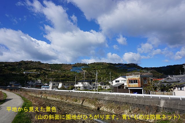 002-smt-4756.jpg