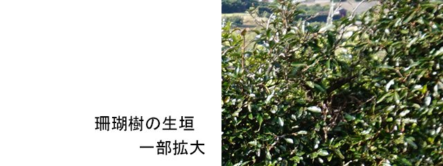 004-smt-4734.jpg