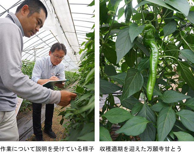 005-amatou-0656_0685.jpg