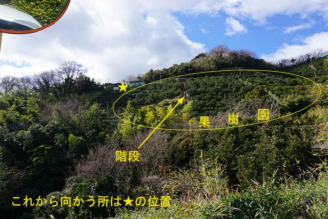010-smt-4757.jpg