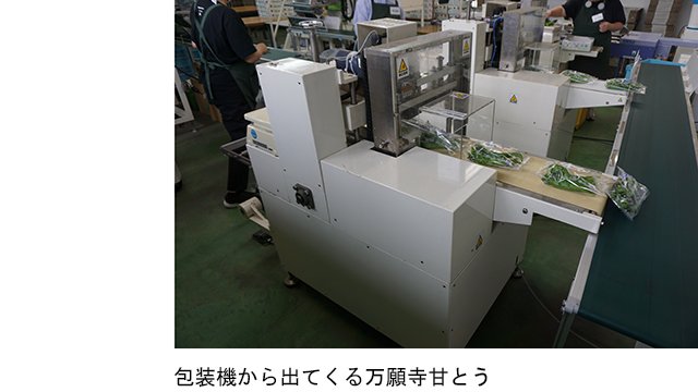 011-amatou-0629.jpg