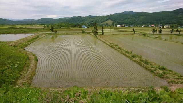 たきかわ転送芦別田園風景640.jpg