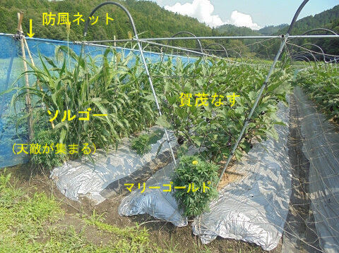 点検レポート 京都生協 コープ Coop