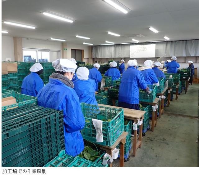 加工場での作業風景（修正）.jpg