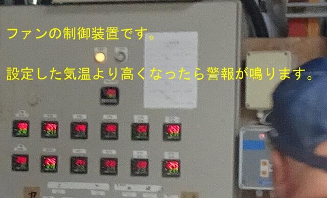 R-4971.jpg