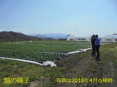 2018-31-商務が圃場視察中。0025.jpg