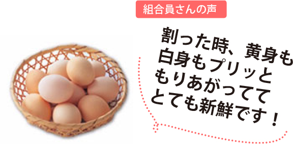 組合員さんの声:割った時、黄身も白身もプリッともりあがっててとても新鮮です