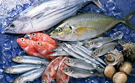 FISH