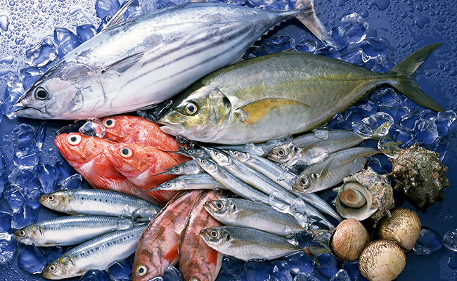FISH