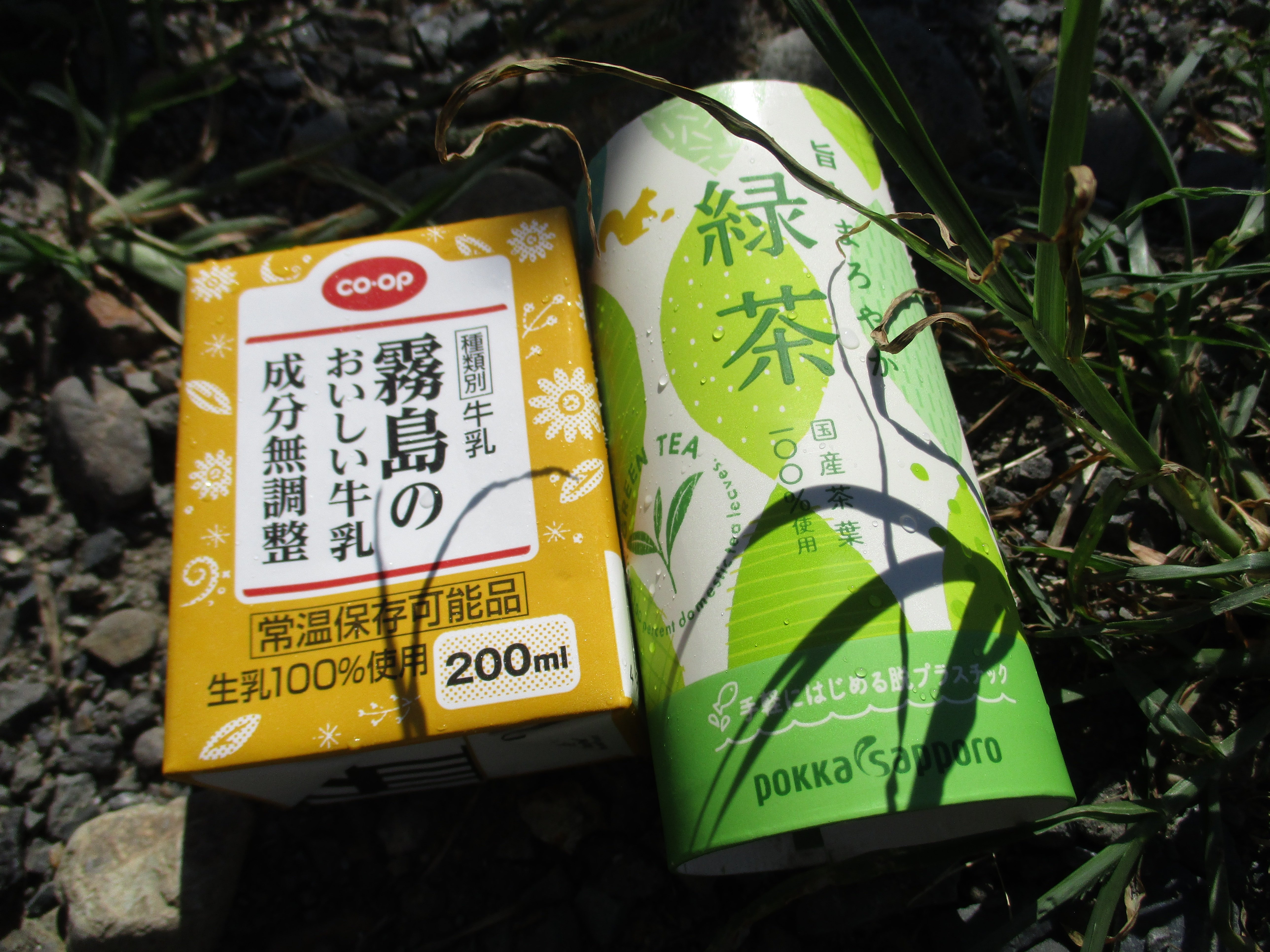 /topics/IMG_4907.JPG