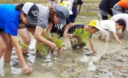 田植え２.jpg