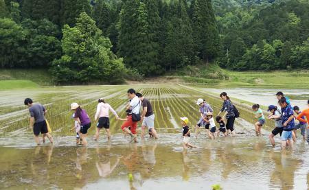 田植え１ (1).jpg