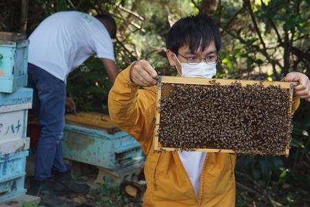 ●⑥Honey&Coralプロジェクトで実施されている養蜂.JPG