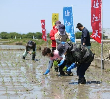 田植え2 .jpg