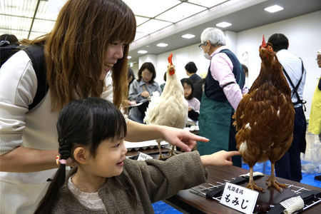 ●R_鶏卵研究会 .png