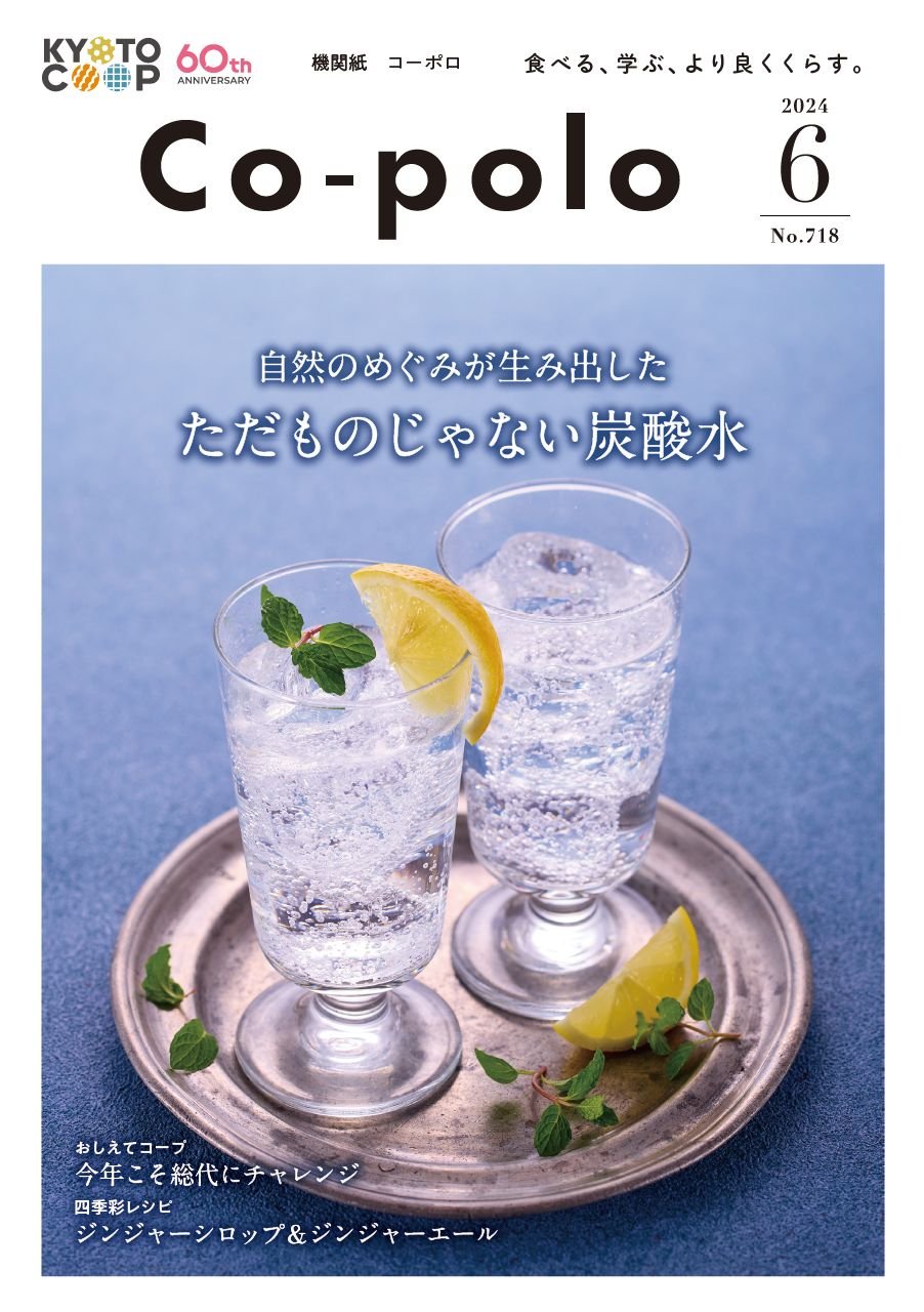 /topics/copolo6.jpg